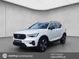 Volvo XC40 B3 B DKG Plus Dark  Pano * Winter-Paket - Volvo XC40 in Dresden