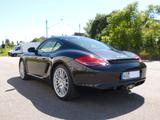Porsche 1.Hd.,PASM,23TKM,BOSE,SHZ,RDK,Volleder u.v.m. - Porsche Cayman: R