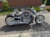 Harley-Davidson V-Rod Thunderbike Komplettumbau Fat Mary - HARLEY-DAVIDSON 2003 V ROD