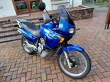 Honda Transalp 650 - Offers