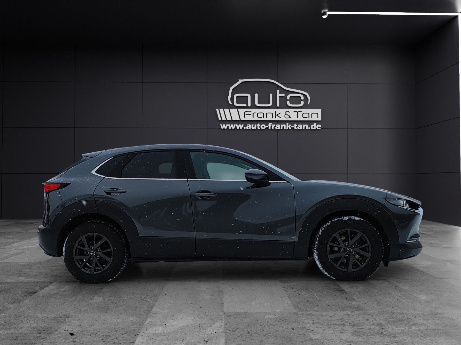 Fahrzeugabbildung Mazda CX-30Matrix*Bose*360°Cam*CarPlay*Head-Up*