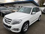 Mercedes-Benz GLK 220 GLK GLK 220 CDI BlueEfficiency 4Matic - Mercedes-Benz GLK 220: Blueefficiency Cdi 4matic