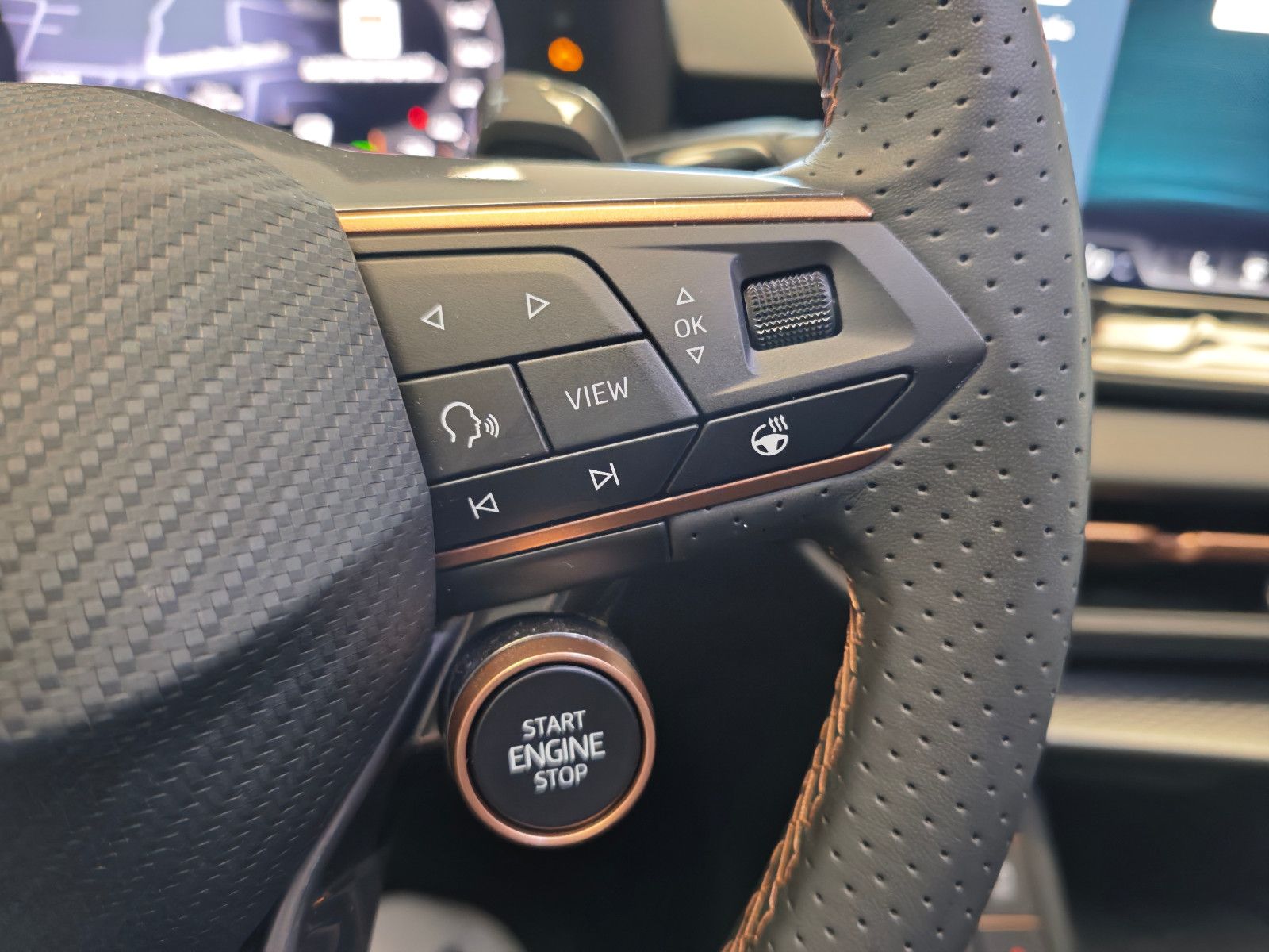 Cupra Terramar - Bild 8
