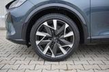 Cupra Formentor VZ 2.0TSI AHK Navi 360° Kamera ACC - Cupra Formentor aus 2025