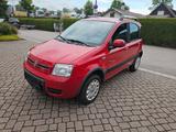 Fiat Panda 1.2 8V Climbing  4X4 EURO 5 - gebrauchte Fiat Panda aus dem Jahr 2011