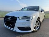 Audi A3 1.6 TDI Ambition Sportback Top Zustand 8-fach - Audi A3 mit Diesel-Antrieb: Ambition