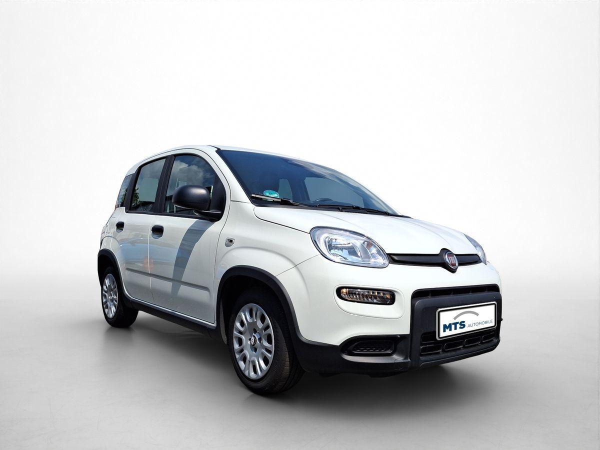 Fiat Panda Hybrid *70PS*DAB*Klima*PDC