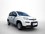 Fiat Panda Hybrid *70PS*DAB*Klima*PDC - Fiat Panda Vorführfahrzeuge