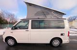 Volkswagen T6 California - VW T6 California von privat