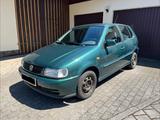 Volkswagen Polo 1.4 / 60ps mit neuem TÜV und AU / 5-Türer  - Volkswagen Polo: Grün, 6n