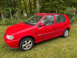 Volkswagen VW Polo 6N XXL TÜV 04/28 Faltdach ZV wenig... - Volkswagen Polo: 6n Faltdach