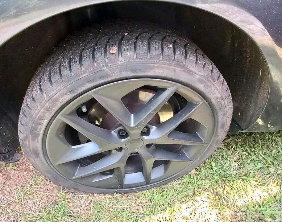 Audi A6 2005 — photo 5