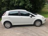 Fiat Punto Evo; Top Zustand - Fiat Punto: Weiß