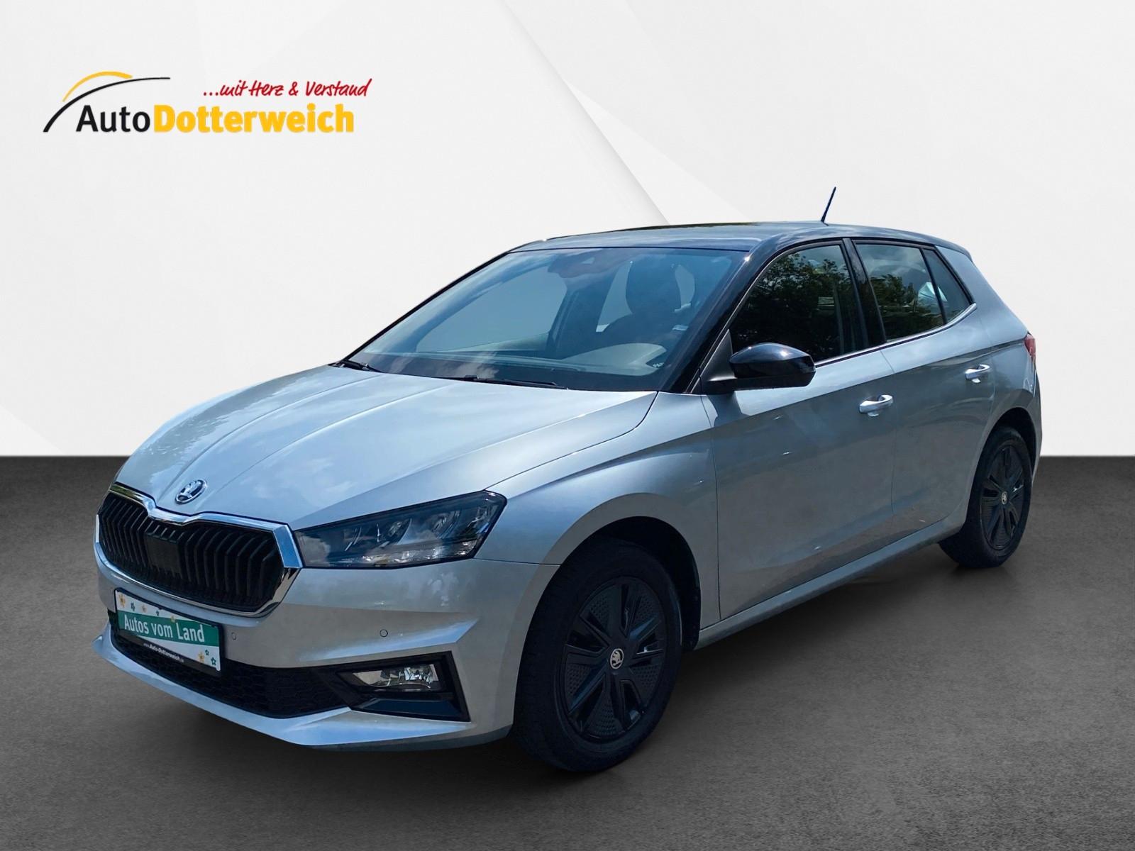 Skoda Fabia Style Kamera, Alu, Klimaaut.