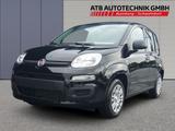 Fiat Panda City Paket MY25 Touchscreen, Carplay/Andro - Fiat Panda Neuwagen