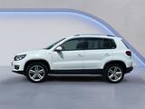 Volkswagen Tiguan 1.4 TSI DSG Lounge Sport&Style AHK+Xenon+ - Volkswagen Tiguan: Weiß