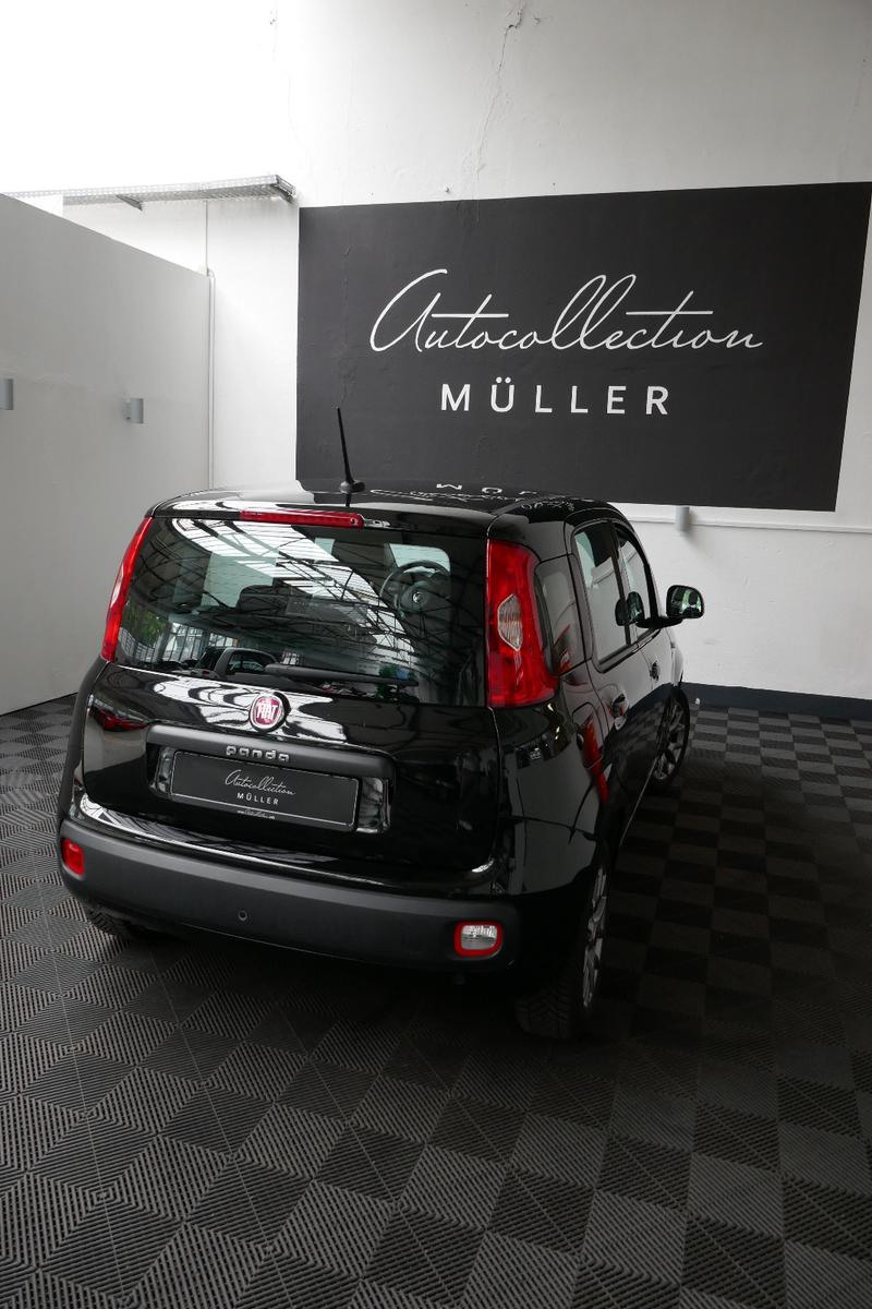 Fiat Panda Lounge