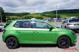 Skoda Fabia Style - Skoda Fabia: Grün