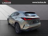 Lexus NX 350 h 243 PS Executive Inter ieur Paket + Tec - silberne Lexus NX 350h