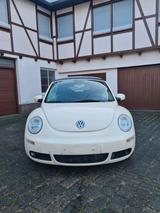 Volkswagen VW Beetle 1.6 Cabrio  Fest Preis - gebrauchte VW Beetle aus dem Jahr 2007