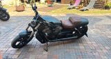 Harley-Davidson Muscle
