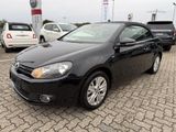 Volkswagen Golf Cabrio 1.2 TSI Life SITZHEIZUNG,PDC,KLIMAAU - Volkswagen Golf mit Benzin-Antrieb: Cabrio, 1.2