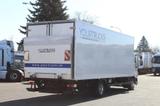 DAF LF 45.250 Thermo KingT-800R /Türen+LBW /Strom - DAF Lf