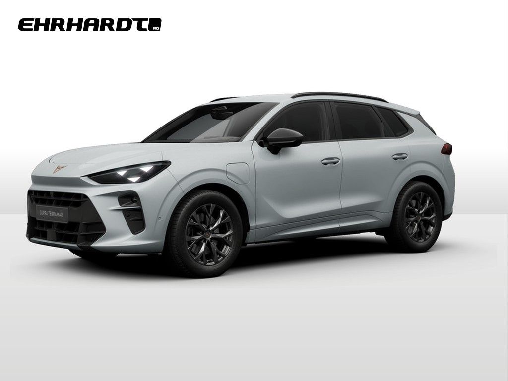 Image of Cupra Terramar