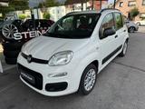 Fiat Panda 1.2 My Panda * TÜV & Service NEU * S-Heft - Fiat: Service