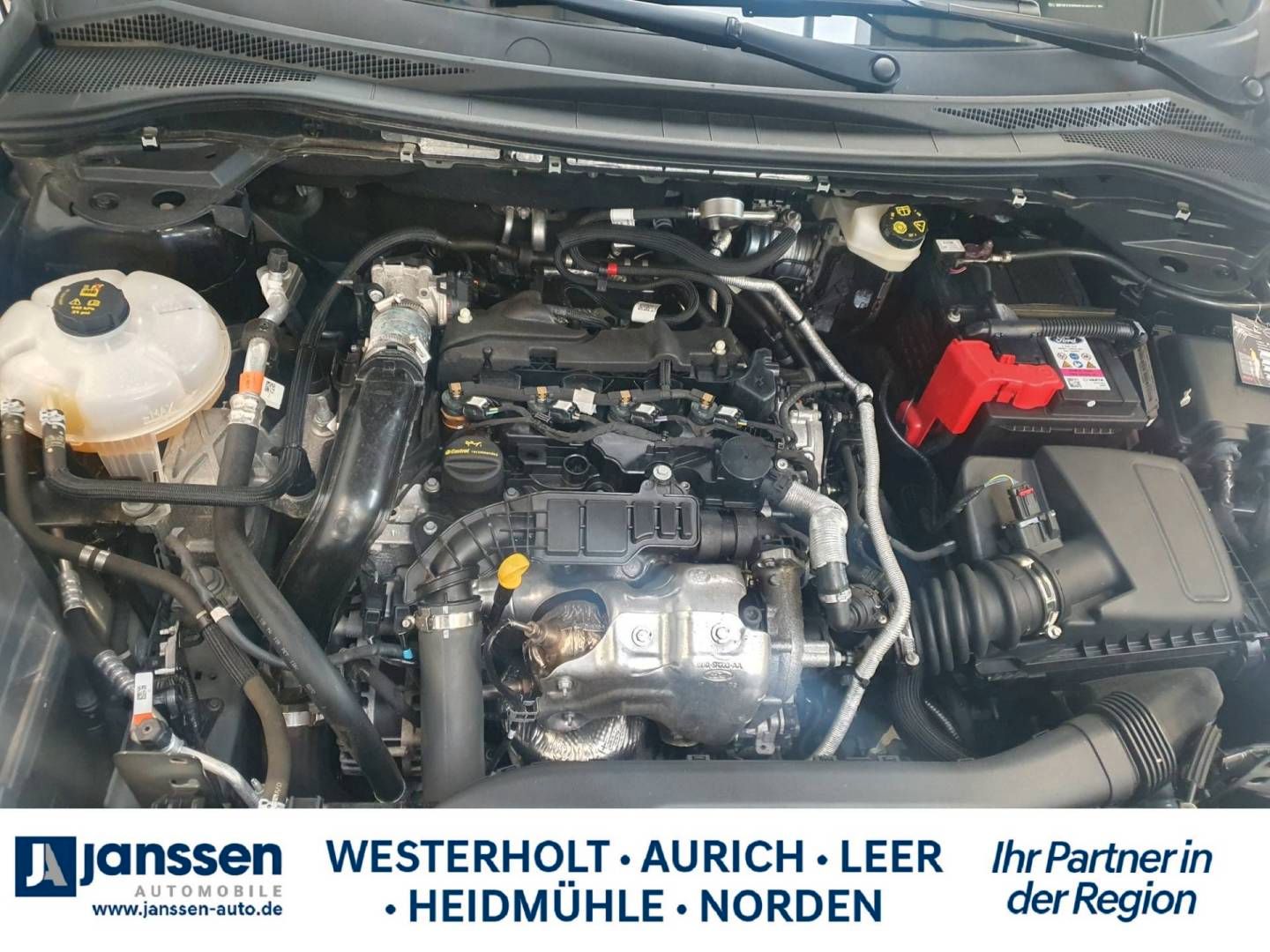 Fahrzeugabbildung Ford Kuga 1.5 EcoBlue Aut. ST Line