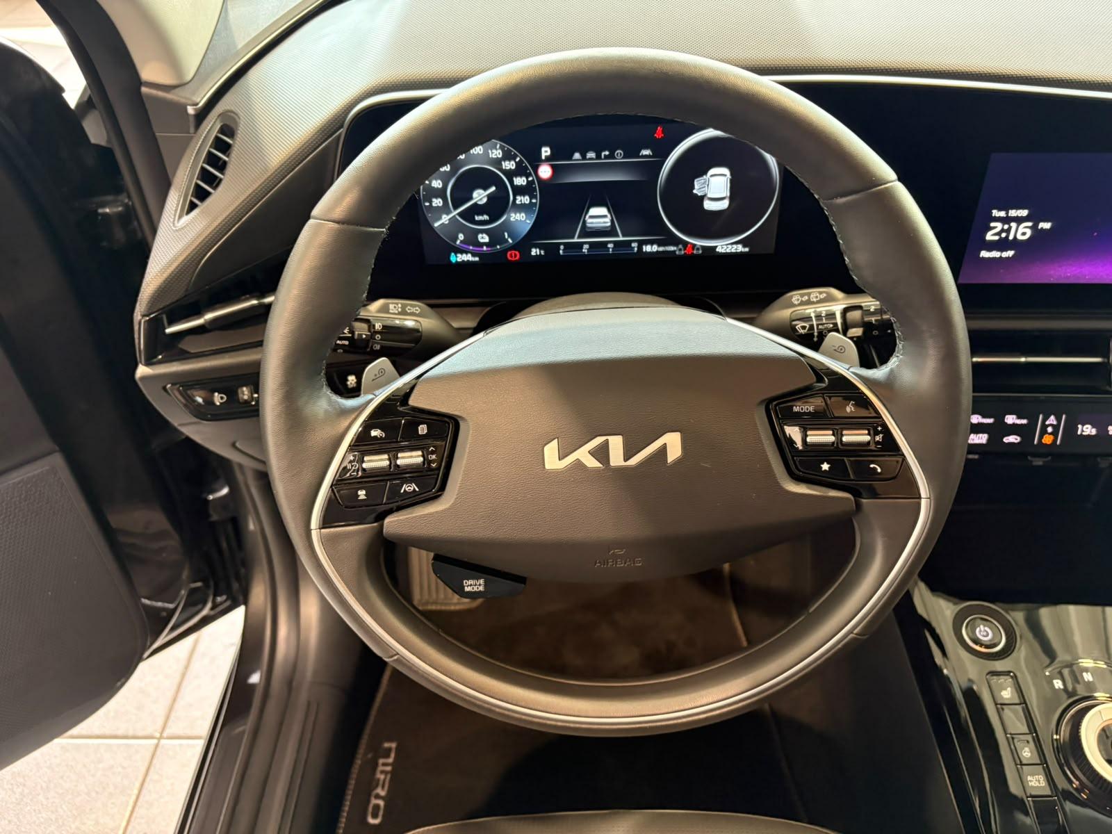 Kia e-Niro Vision (64,8kWh) Navi|ACC|Kamera|SHZ