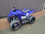Yamaha YFZ50 - QUAD VON 1 BIS 50 CCM
