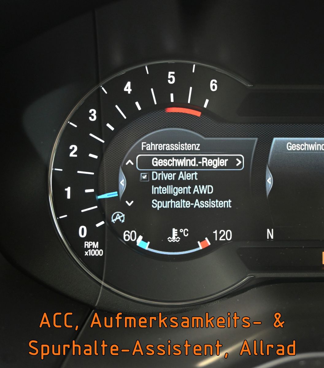 Fahrzeugabbildung Ford Galaxy 2.0 D AWD VIGNALE °ACC°AHK°PANO°STANDHEIZ