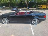 Mercedes-Benz CLK 430 AVANTGARDE Avantgarde Cabrio AMG Styling - Mercedes-Benz CLK 430: Cabrio