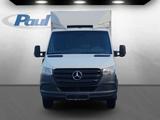 Mercedes-Benz Sprinter 516 CDI Kühlkoffer 5,5to+Frischdienst0° - Mercedes-Benz Sprinter: Cdi 516
