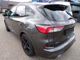 Ford Kuga 2.0 EcoBlue ST-Line X AHK/B&O/4x4 - Ford Kuga mit Diesel-Antrieb: Grau