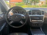Mercedes-Benz ML 350 BlueTEC 4MATIC - - Mercedes-Benz ML 350 aus 2013