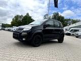 Fiat Panda 4x4 0.9 TwinAir Wild *Klima Sitzh. NS DAB+ - Fiat Panda 4X4-Wild