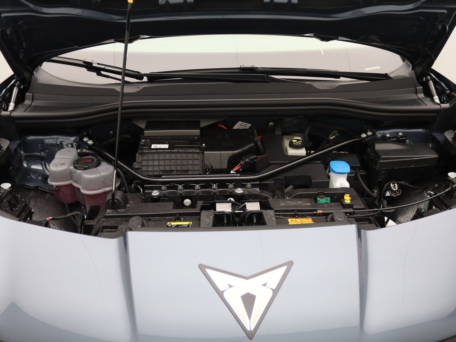 Cupra Tavascan - Bild 18