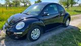 Volkswagen New Beetle 1.9 TDI DPF United  - Volkswagen New Beetle: United