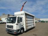 MAN TGL 8.180 + PALFINGER + GLASS TRUCK + MANUAL - MAN Gl