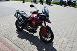 Triumph Tiger 900GT Pro 1.Hand - TRIUMPH TIGER 900