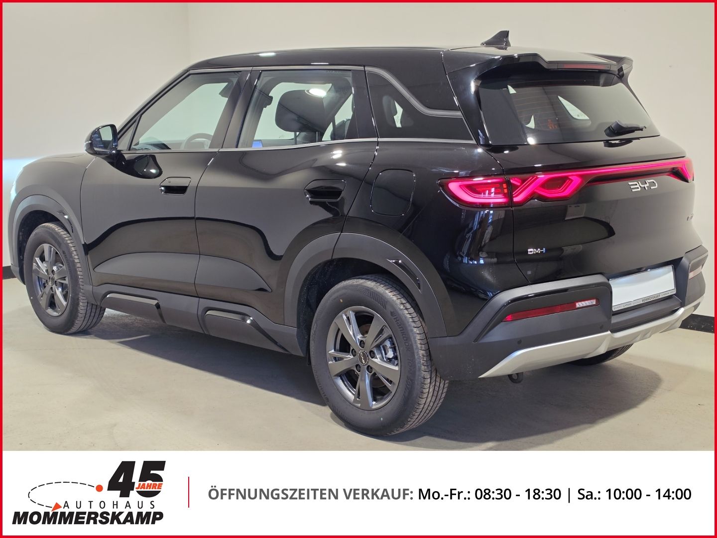 BYD ATTO 2