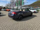 Ford Focus Cabrio Titanium Xen LEDER Temp SHZ Alu - Ford Focus: Cabrio, Titanium