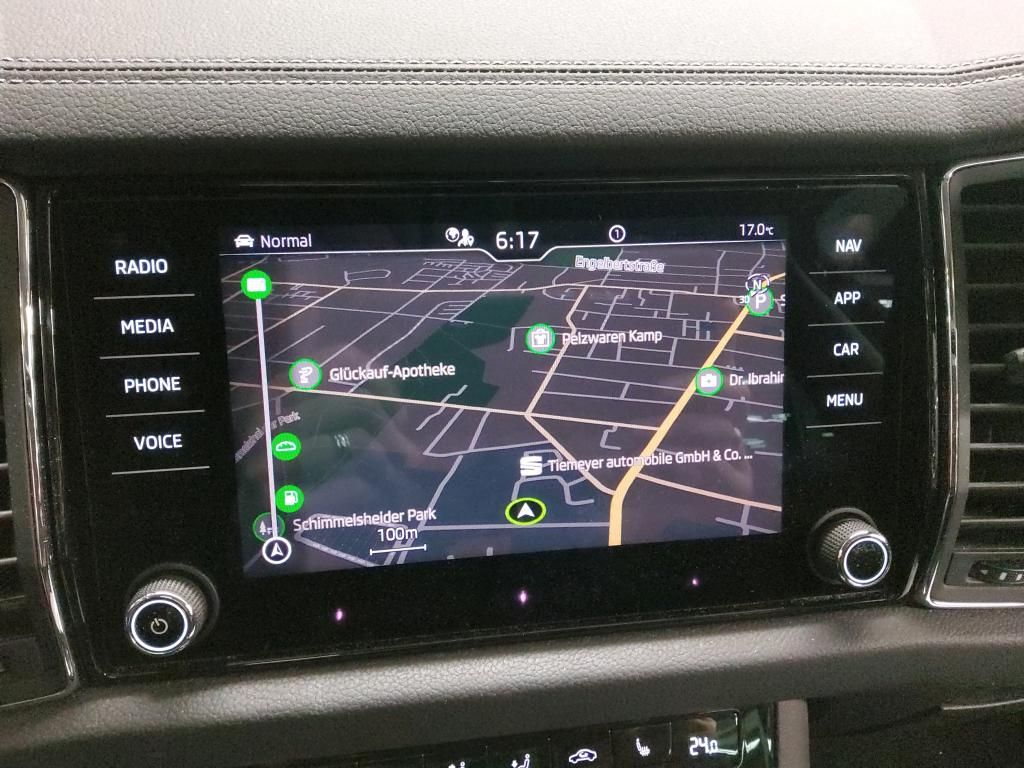 Fahrzeugabbildung SKODA Kodiaq TSI Tour DSG 4x4 Standhzg. Matrix AHK Nav