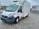 Fiat Ducato Kühlkofffer Tiefkühler  bis-32° TÜV neu 