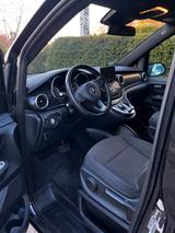 Mercedes-Benz V 250 Standheizung  & Campingzubehör - : Kleinbus, Camping