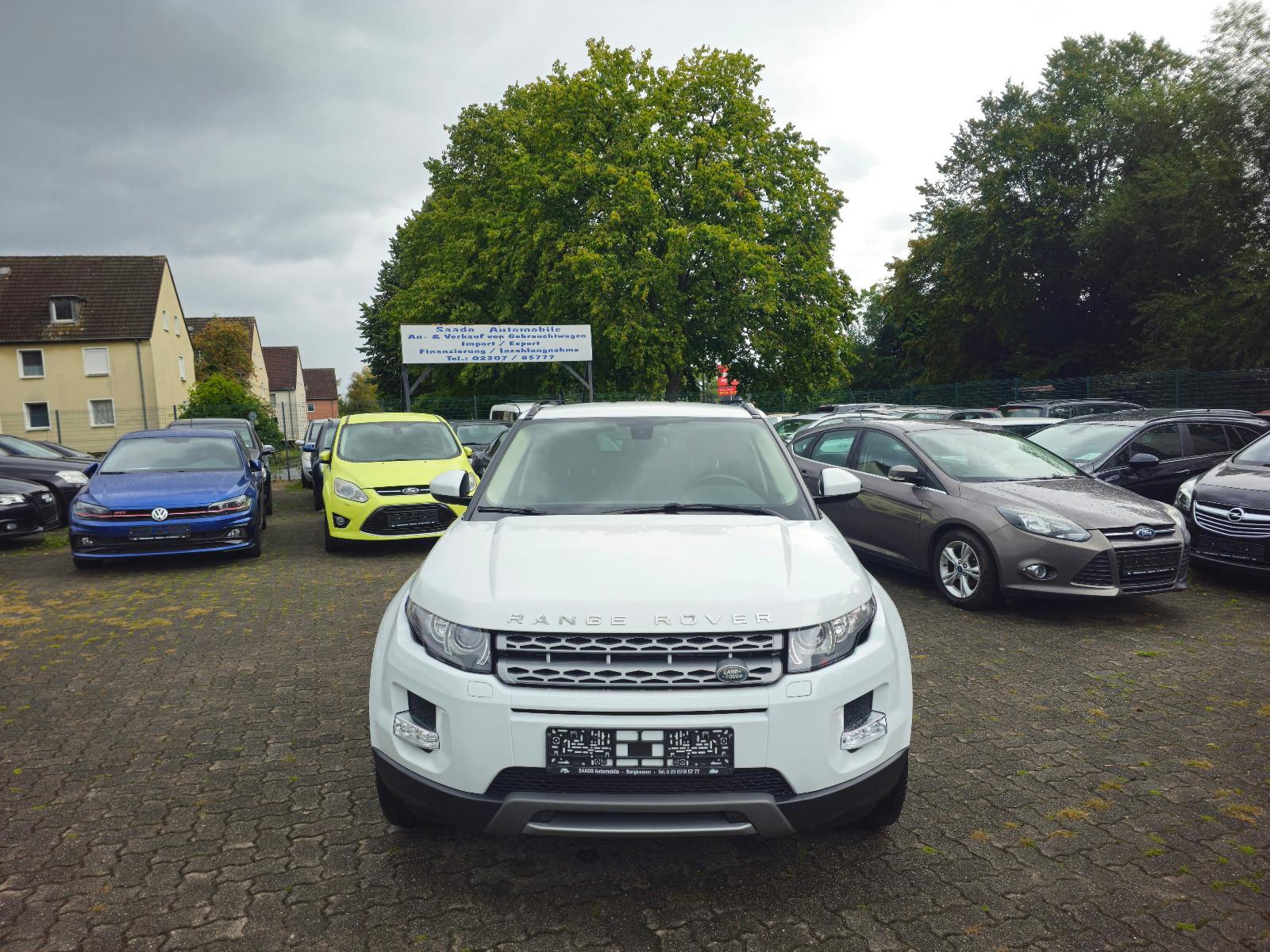 Land Rover Range Rover Evoque Pure 19"Alu*Navi*Xenon