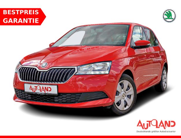 Skoda Fabia 1.0 MPI Cool Plus Klima Winterpaket DAB