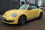 Volkswagen Beetle Cabriolet Exclusive Sport *1.HAND/LEDER* - : Cabrio, Sport